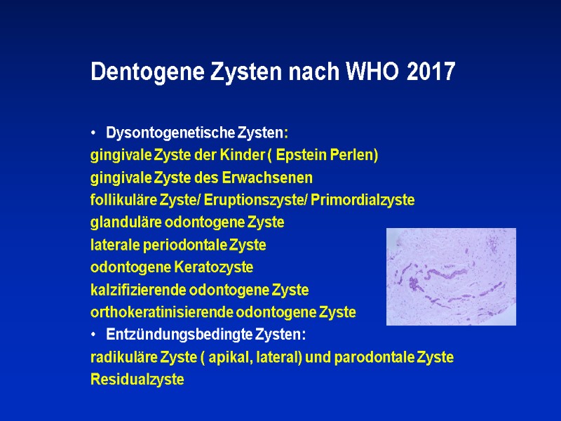 Dentogene Zysten nach WHO 2017 Dysontogenetische Zysten: gingivale Zyste der Kinder ( Epstein Perlen)